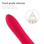 Fervent Lover Vibrator